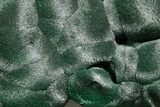 Chatoyant Fibrous Malachite Crystal Cluster - DR Congo #379680-1